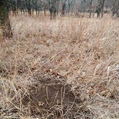 Photo by BR Outfitters