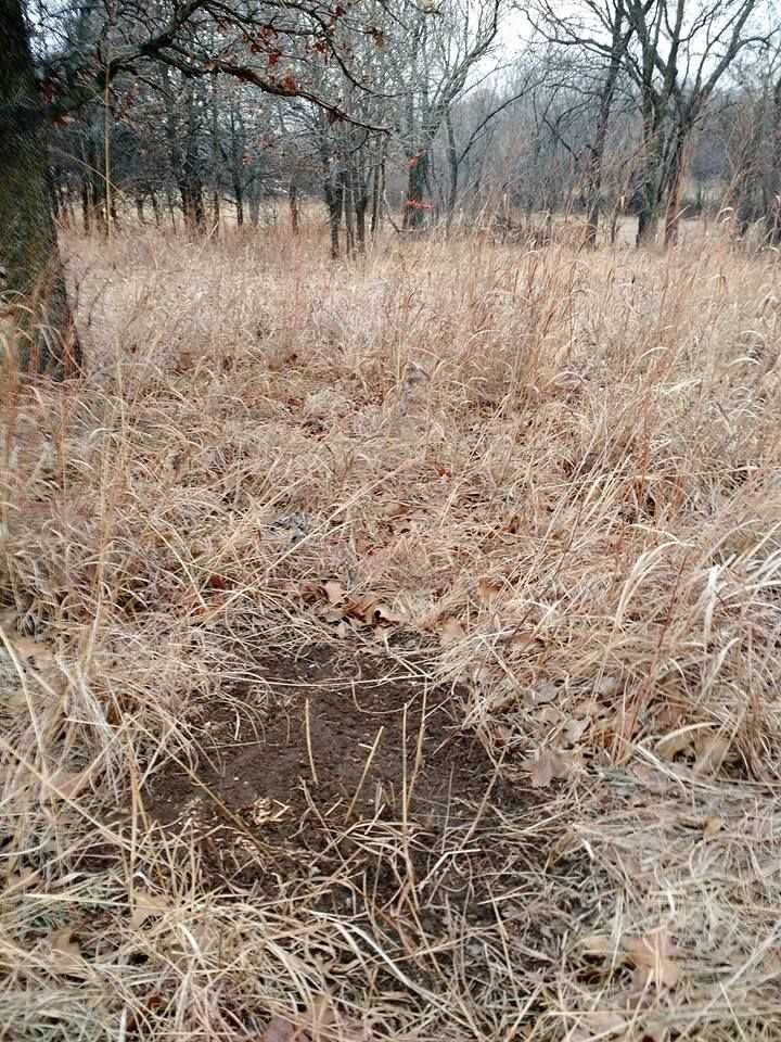 Enlarged photo by BR Outfitters