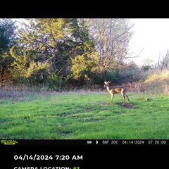 Photo by BR Outfitters