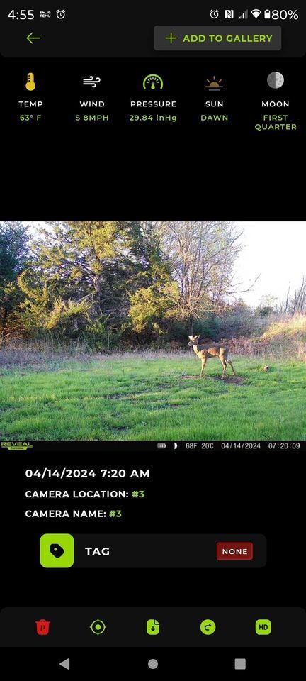 Enlarged photo by BR Outfitters