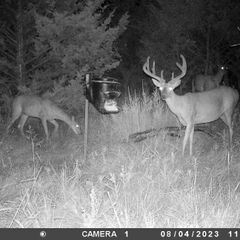 Photo by BR Outfitters