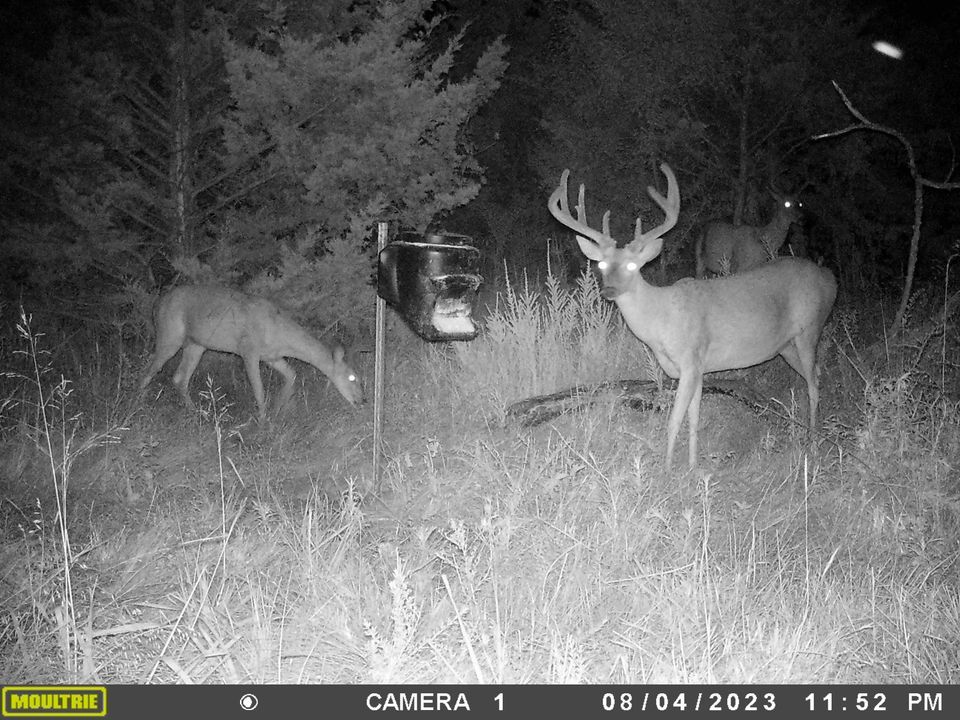 Enlarged photo by BR Outfitters