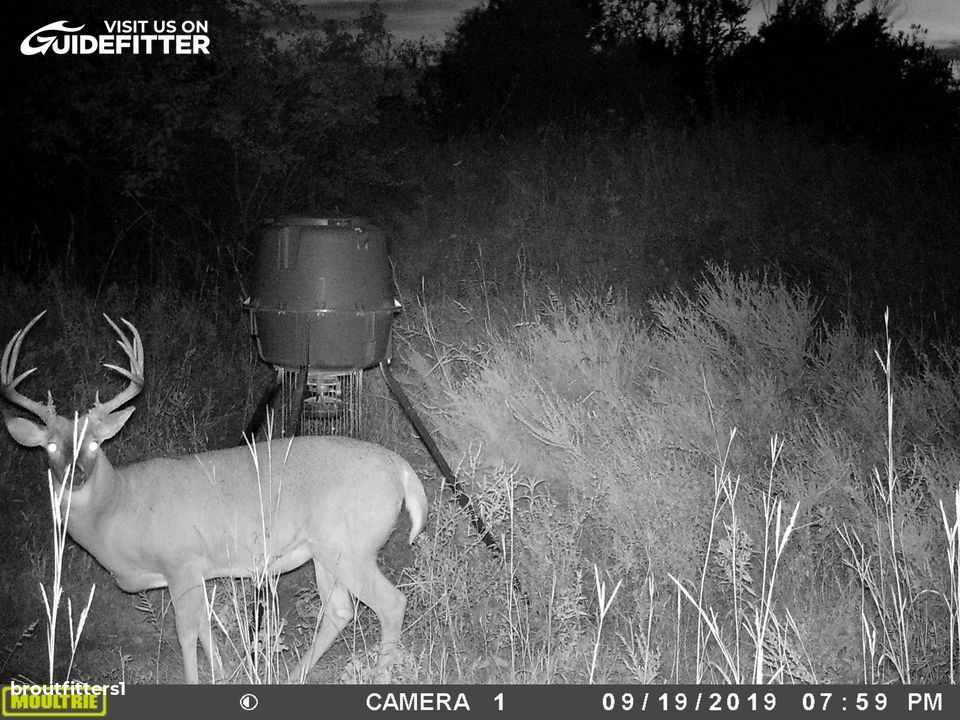 Enlarged photo by BR Outfitters