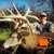 Southwest Iowa Outfitters