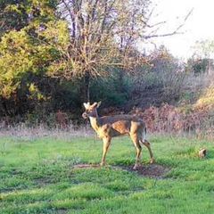 Photo by BR Outfitters