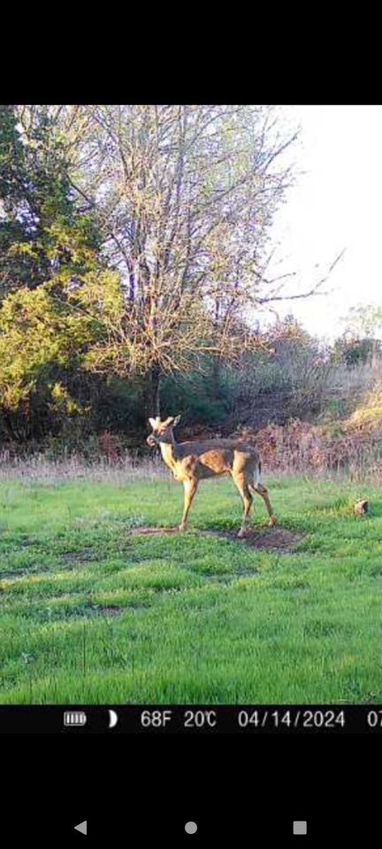 Enlarged photo by BR Outfitters