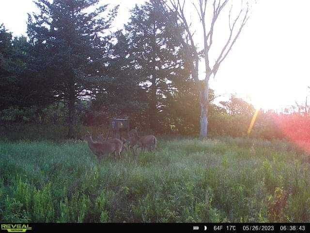 Final #'s are in. Since we do not book many hunters each year, and thanks to the tips and tricks we have learned over the...