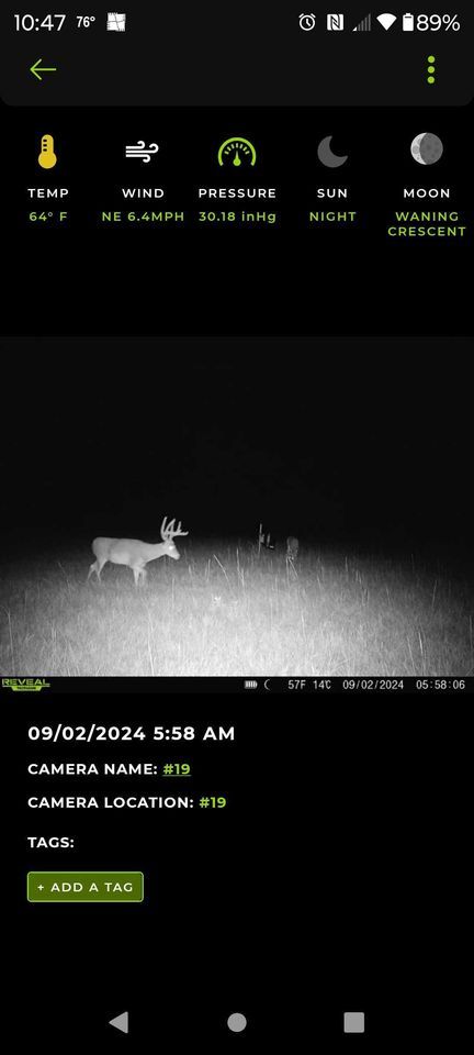 Enlarged photo by BR Outfitters