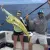 Mullet Charters