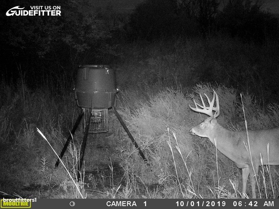 Enlarged photo by BR Outfitters