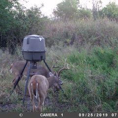 Photo by BR Outfitters