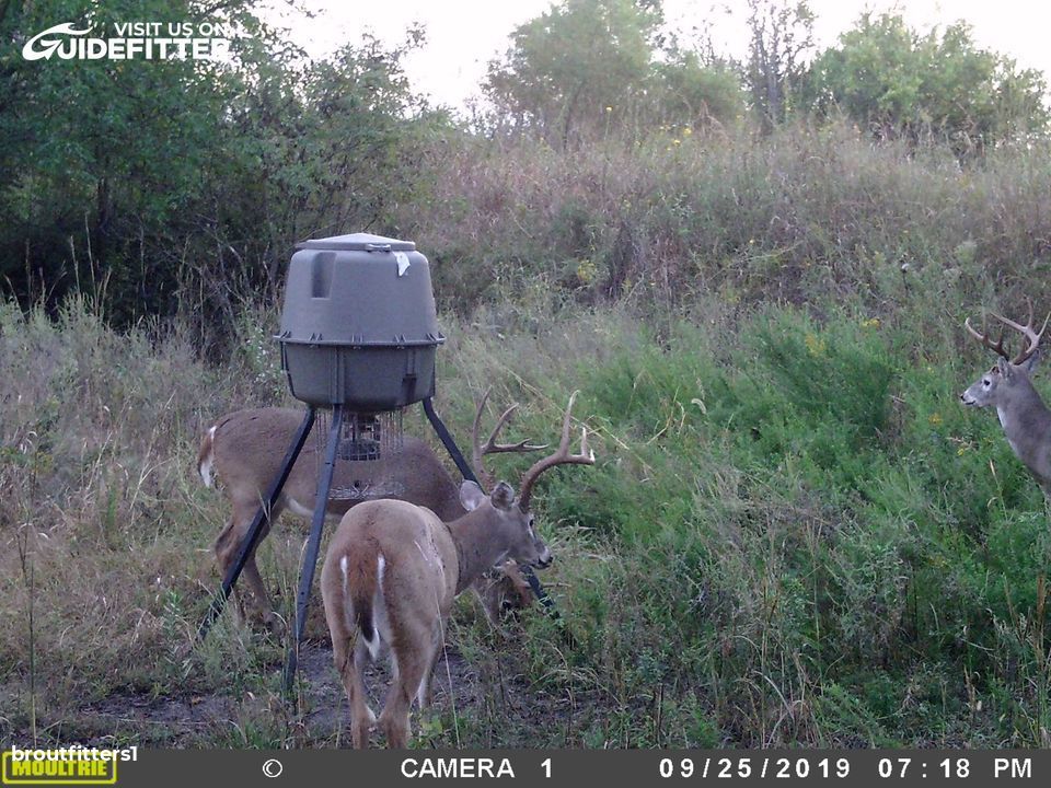 Enlarged photo by BR Outfitters