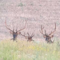 Photo by BASK Outfitters