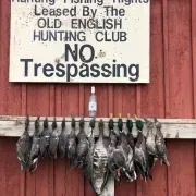 Old English Hunting Club