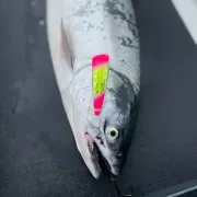 Big River Outfitters LLC