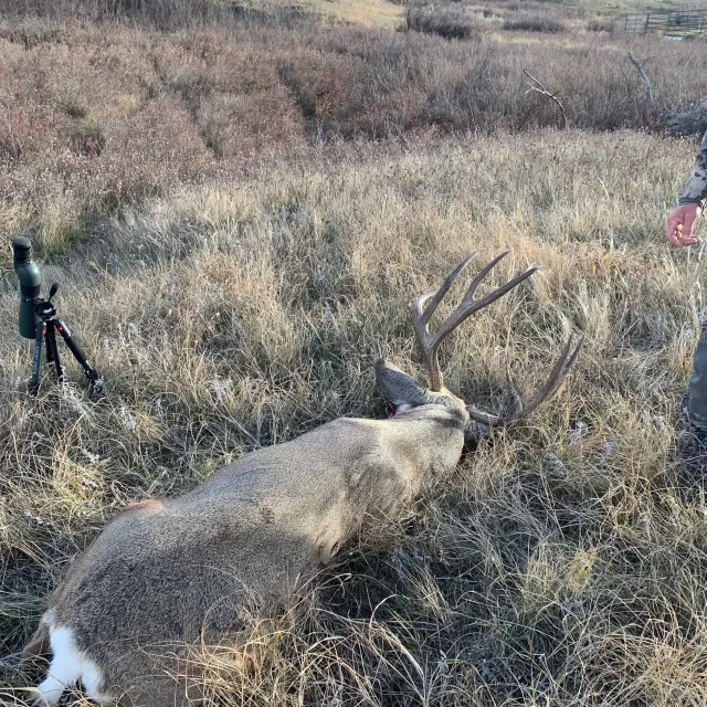 During the Montana rifle season we live an die by our tri...