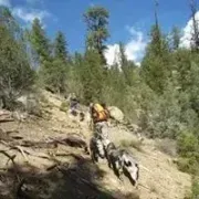 Cody Webster