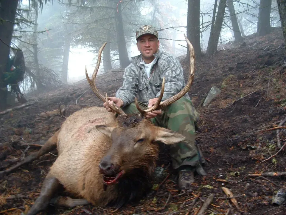 One of many bull elk harvested in Central Oregon on publi...