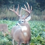 Neosho River Outfitters