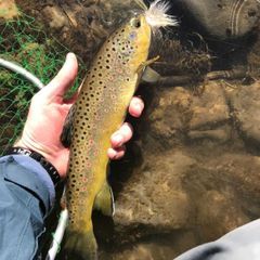 Who says polka dots are out of style?