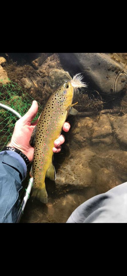 Who says polka dots are out of style?