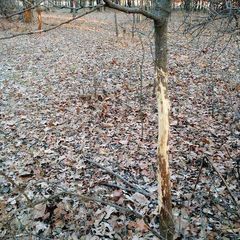 Photo by BR Outfitters