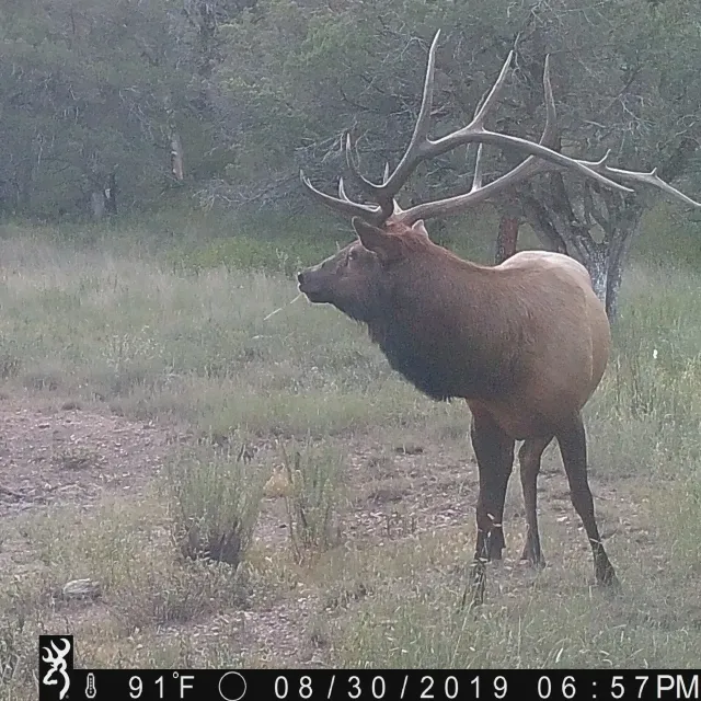 I began using Browning game cams a few years ago and cont...