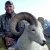 Alaska Dall Sheep Guide