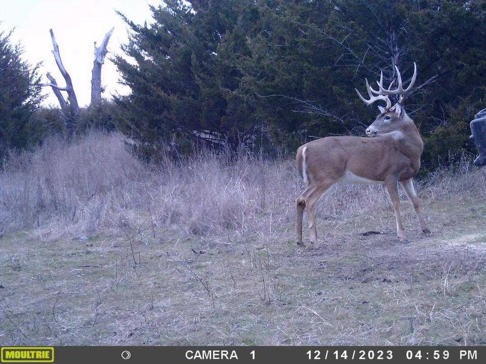 He survived another year. #5