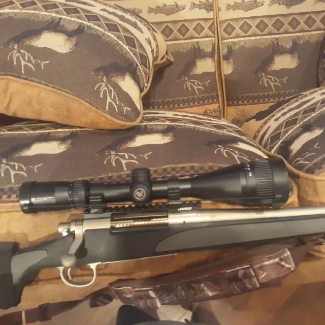 I took my Remmington 375 RUM topped with my Vortex scope ...