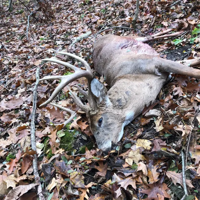 Hands down the best late season gear I have owned.  This ...