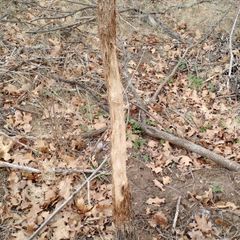 Photo by BR Outfitters