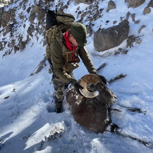 Work like they should. Can compete with any of the other ...