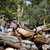 Seven J Outfitters