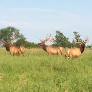 Qu' Appelle Hills Outfitters (QHO)