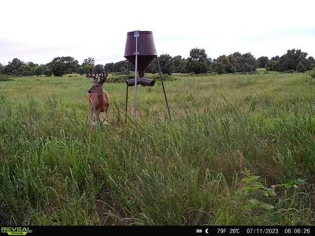 Enlarged photo by BR Outfitters