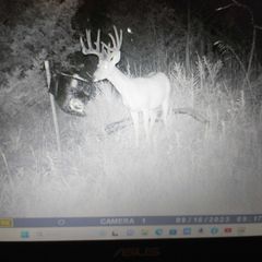 Photo by BR Outfitters