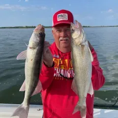 thumbnail image 2 of Bill Lewis Precise Walleye Crank Black Head Wonderbread - Sportsman 2 of 11