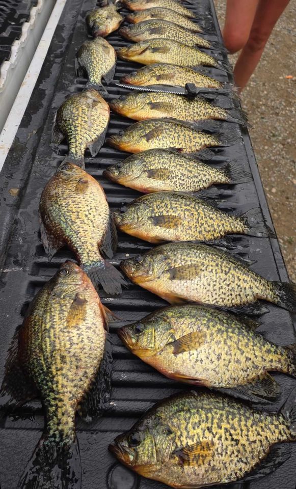 Enlarged photo by Basswood Trails Guide Service