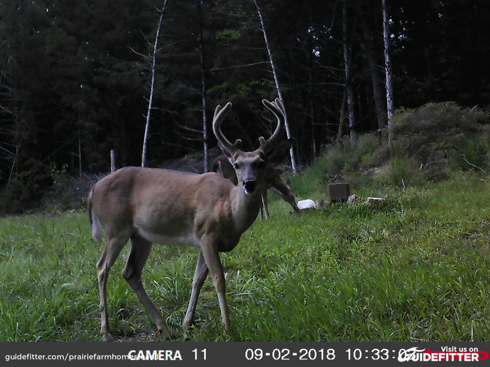 Prairie Farm Homestead, LLC Guidefitter