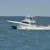 Hatteras Blue Sportfishing