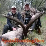 Spain Hunting Ibex