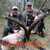 Spain Hunting Ibex
