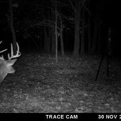 Photo by BR Outfitters