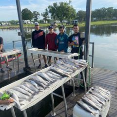 Photo by Troys Guide Service