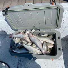 Photo by Troys Guide Service