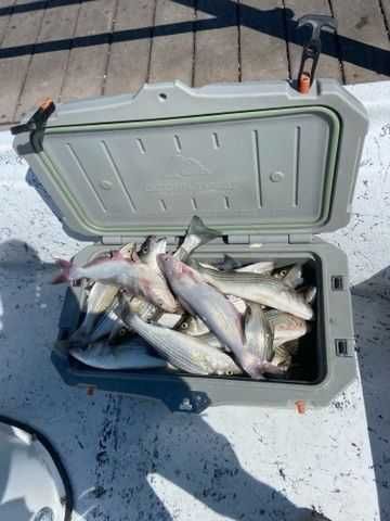 Enlarged photo by Troys Guide Service