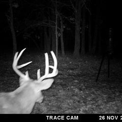 Photo by BR Outfitters