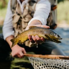 Photo by BASK Outfitters