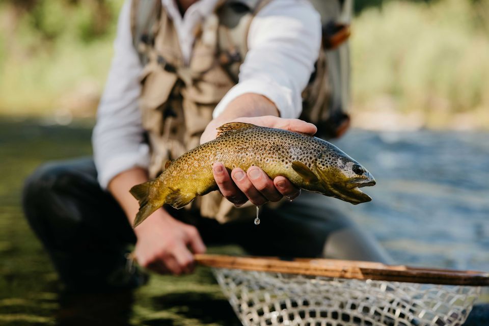 Enlarged photo by BASK Outfitters
